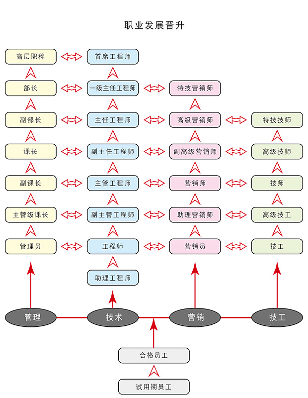 職業發展晉升